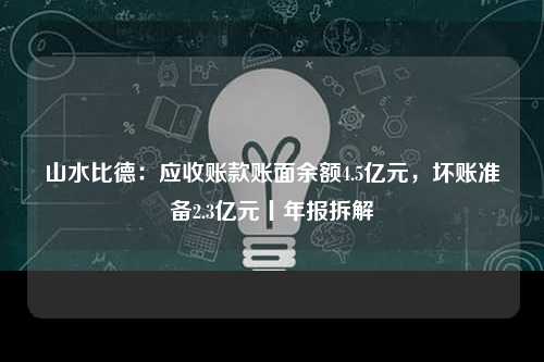 山水比德：应收账款账面余额4.5亿元，坏账准备2.3亿元丨年报拆解