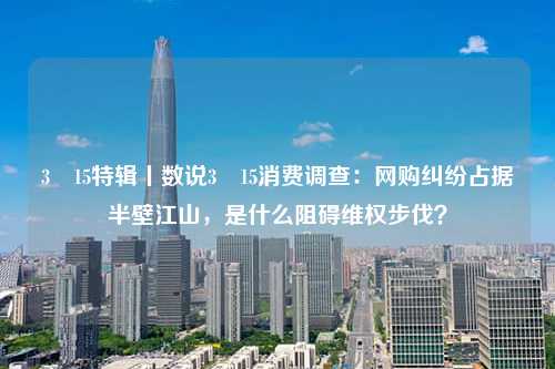 3・15特辑丨数说3・15消费调查：网购纠纷占据半壁江山，是什么阻碍维权步伐？