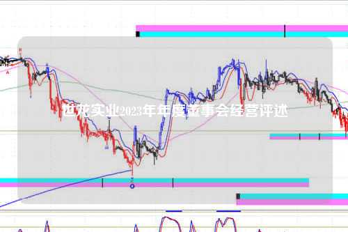 世龙实业2023年年度董事会经营评述